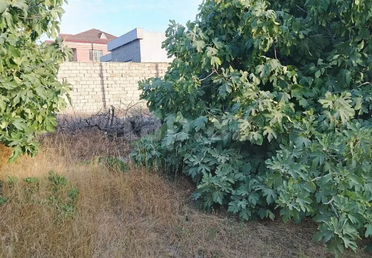 0 m² Obyekt / Ofis , Nardaran qəs., Sabunçu, Bakı