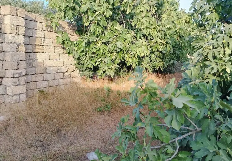 0 m² Obyekt / Ofis , Nardaran qəs., Sabunçu, Bakı