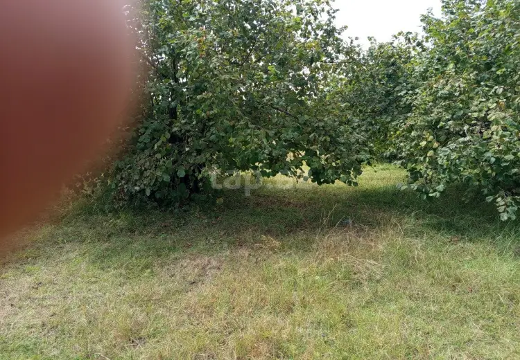 0 m² Obyekt / Ofis , Qəbələ