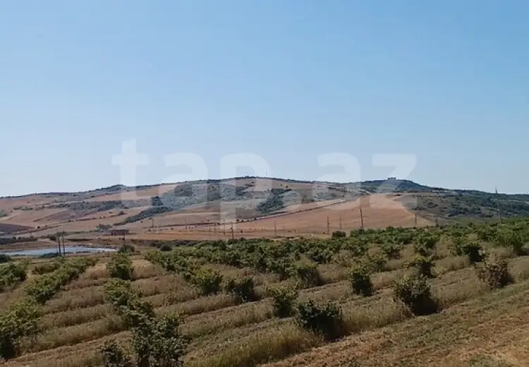 0 m² Obyekt / Ofis , Şamaxı