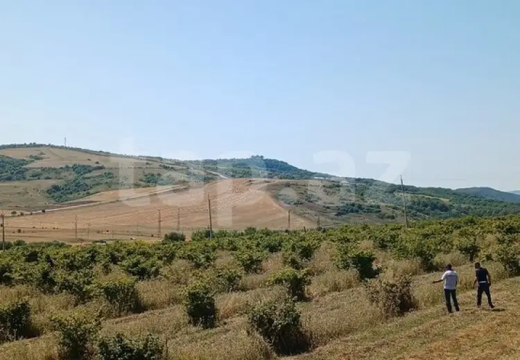 0 m² Obyekt / Ofis , Şamaxı