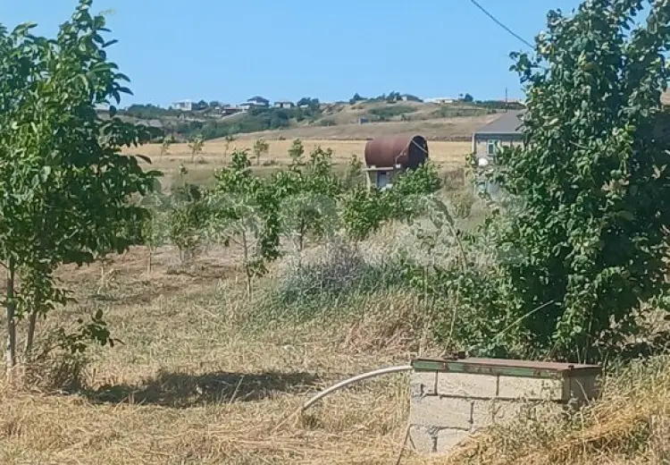 0 m² Obyekt / Ofis , Şamaxı
