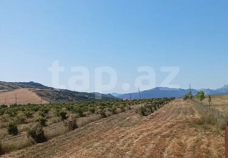 0 m² Obyekt / Ofis , Şamaxı
