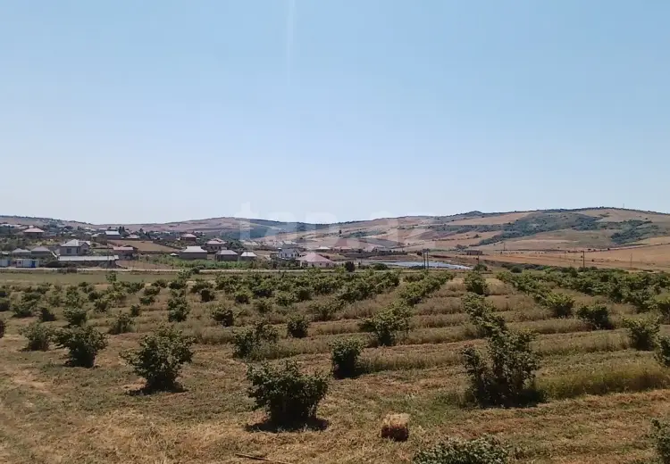 0 m² Obyekt / Ofis , Şamaxı