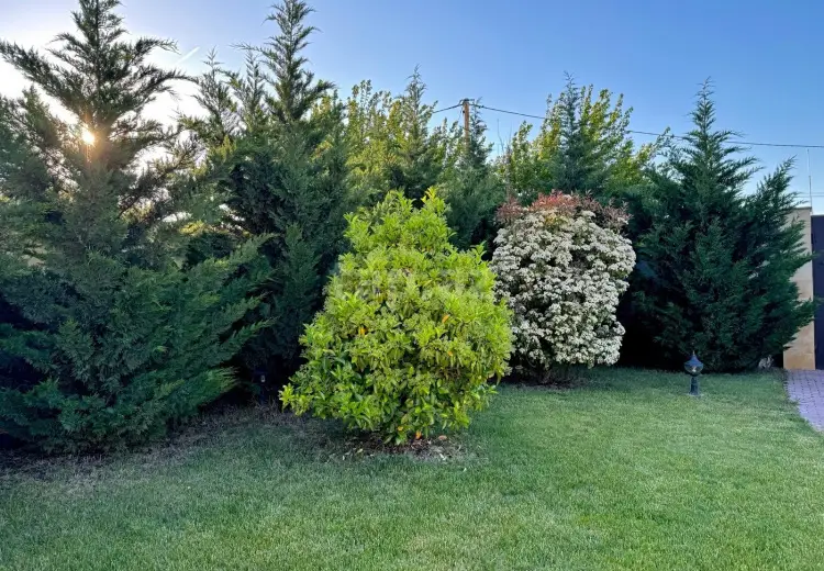 6 otaqlı mənzil Kirayə (günlük), Novxanı, Abşeron
