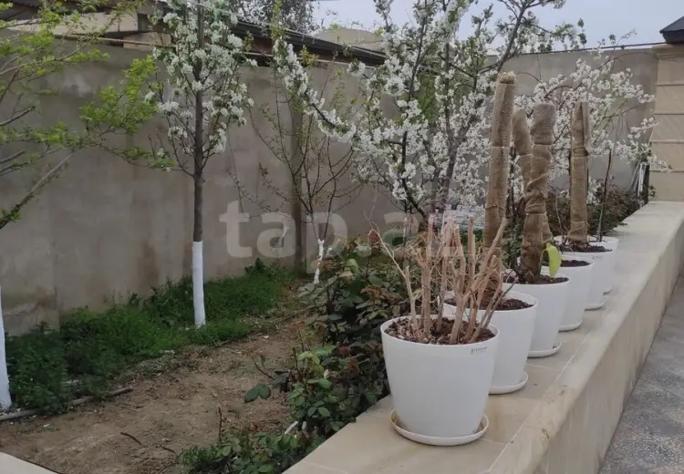 3 otaqlı mənzil , Sumqayıt