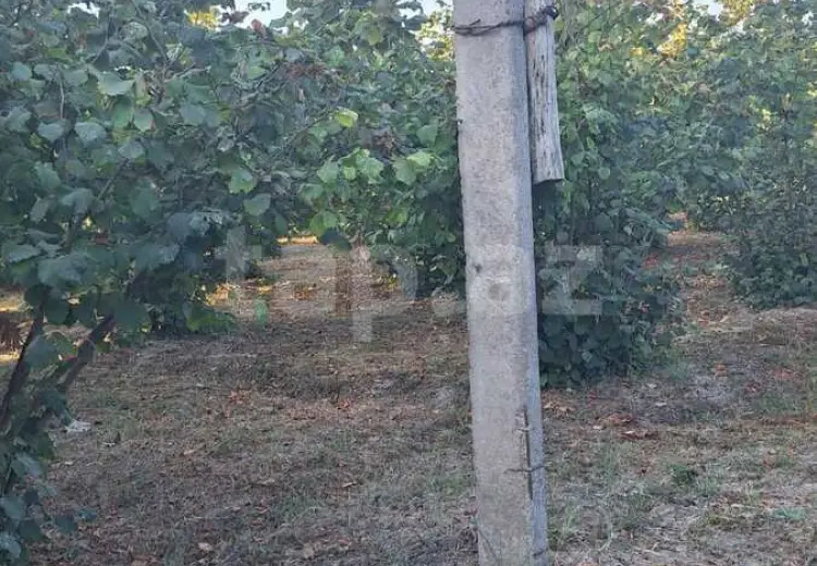0 m² Obyekt / Ofis , Sumqayıt