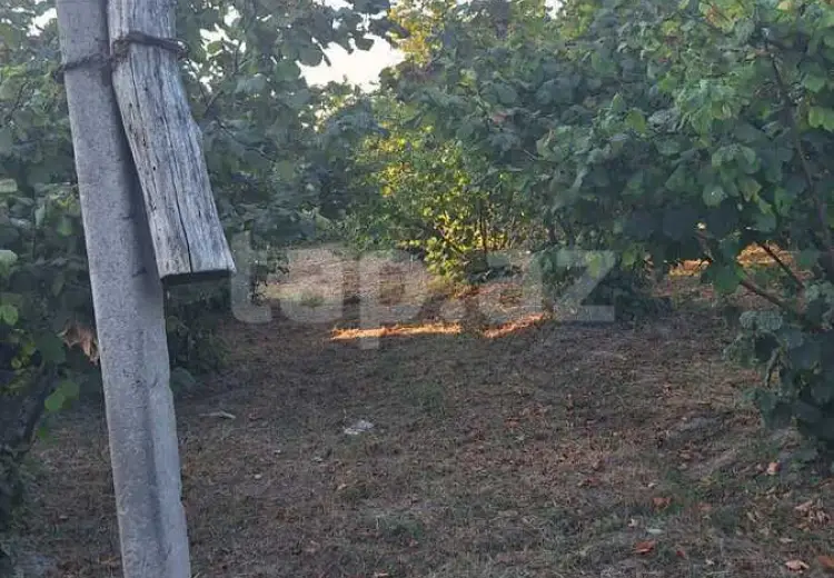 0 m² Obyekt / Ofis , Sumqayıt