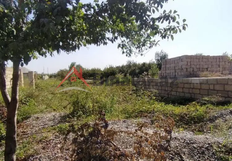 10 sot Torpaq Satılır, Xaçmaz