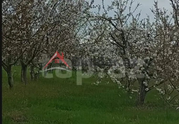 60 sot Torpaq Satılır, Xaçmaz