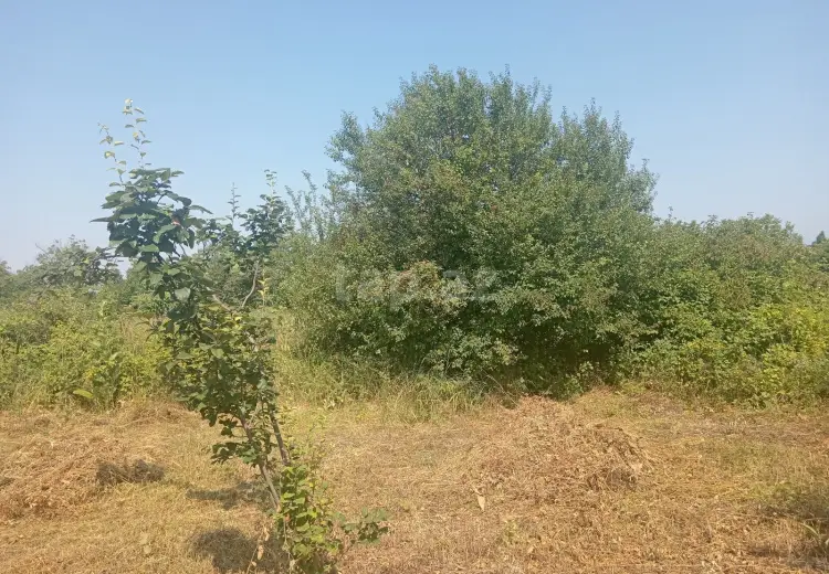 0 m² Obyekt / Ofis , Qəbələ
