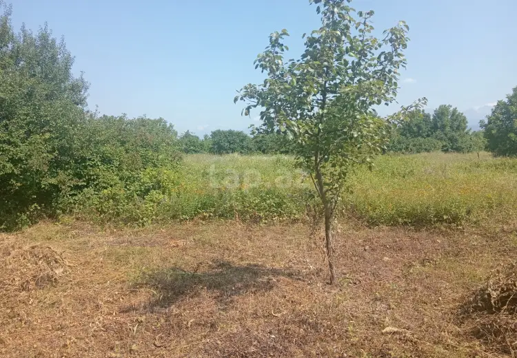 0 m² Obyekt / Ofis , Qəbələ