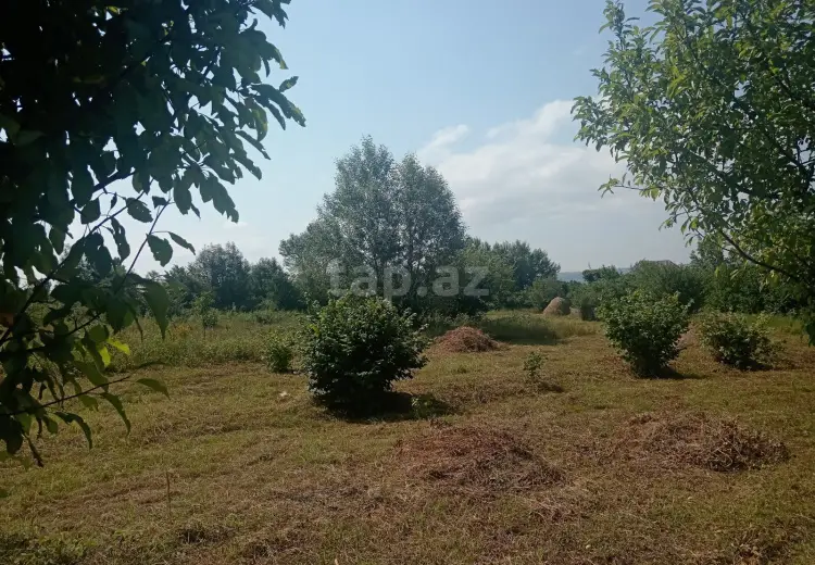 0 m² Obyekt / Ofis , Qəbələ