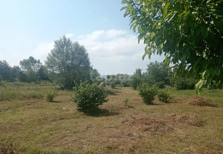 0 m² Obyekt / Ofis , Qəbələ