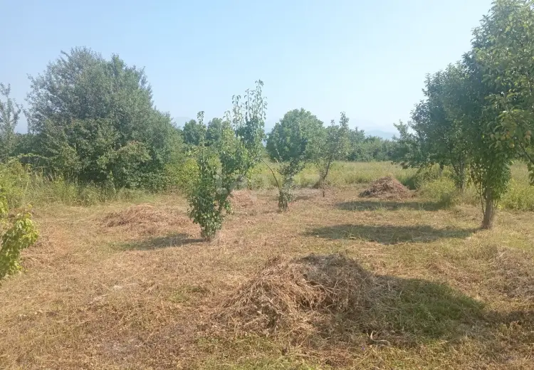 0 m² Obyekt / Ofis , Qəbələ