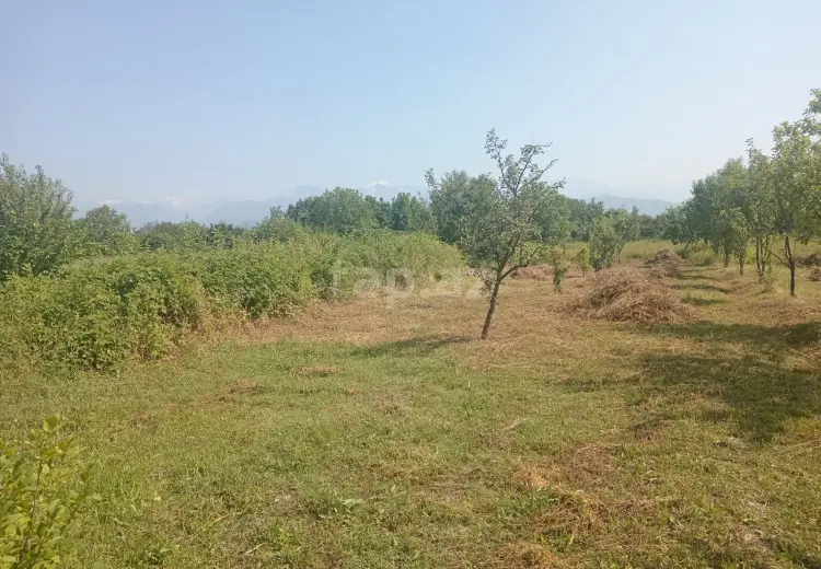 0 m² Obyekt / Ofis , Qəbələ