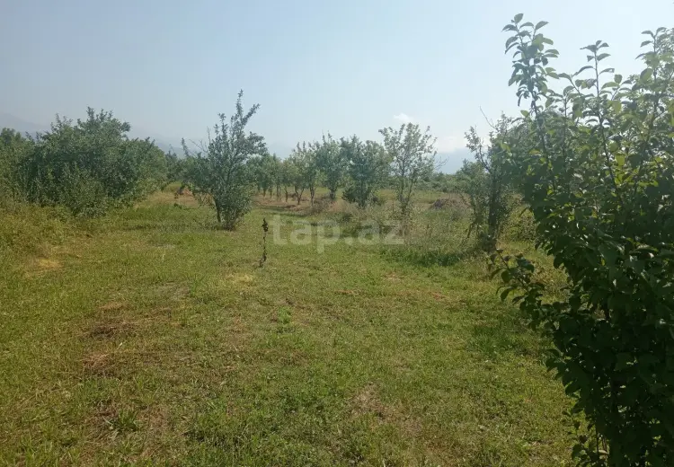 0 m² Obyekt / Ofis , Qəbələ