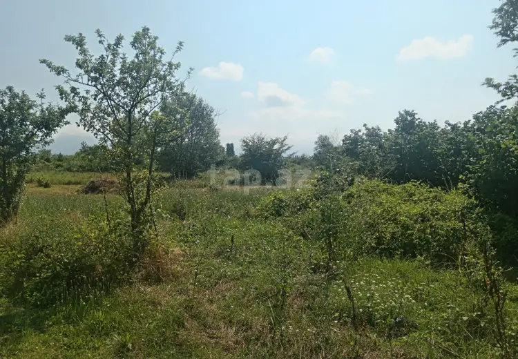 0 m² Obyekt / Ofis , Qəbələ