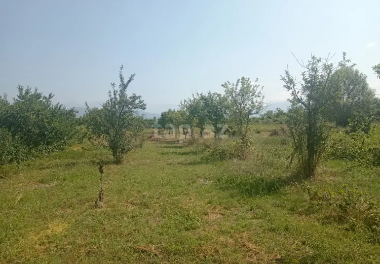 0 m² Obyekt / Ofis , Qəbələ