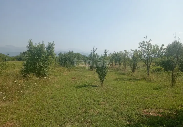 0 m² Obyekt / Ofis , Qəbələ