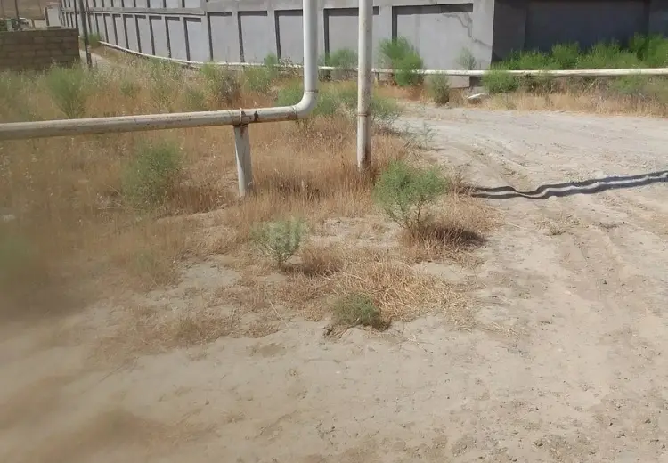 3 sot Torpaq Satılır, Masazır, Abşeron