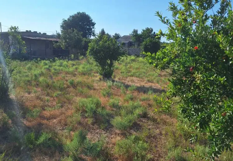 12 sot Torpaq Satılır, Türkan, Xəzər, Bakı