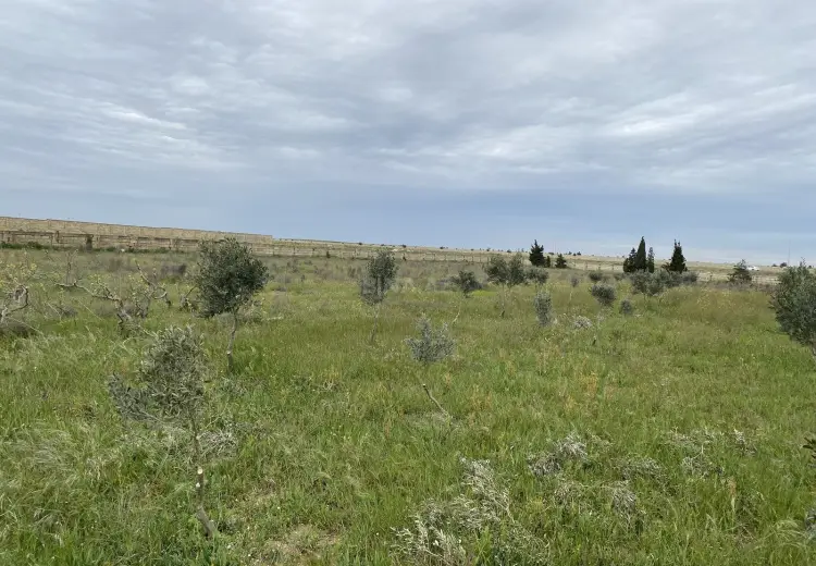 40 sot Torpaq Satılır, Zirə, Xəzər, Bakı