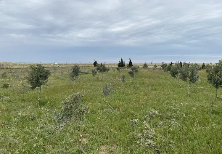 40 sot Torpaq Satılır, Zirə, Xəzər, Bakı