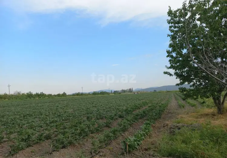 0 m² Obyekt / Ofis , Quba