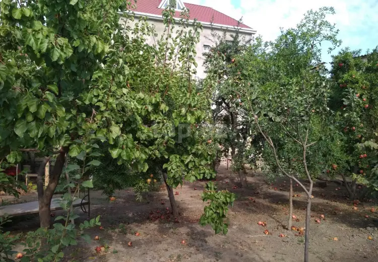 3 otaqlı mənzil , Xırdalan