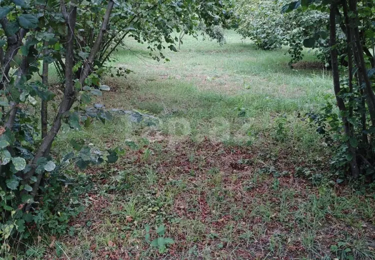 0 m² Obyekt / Ofis , Qəbələ