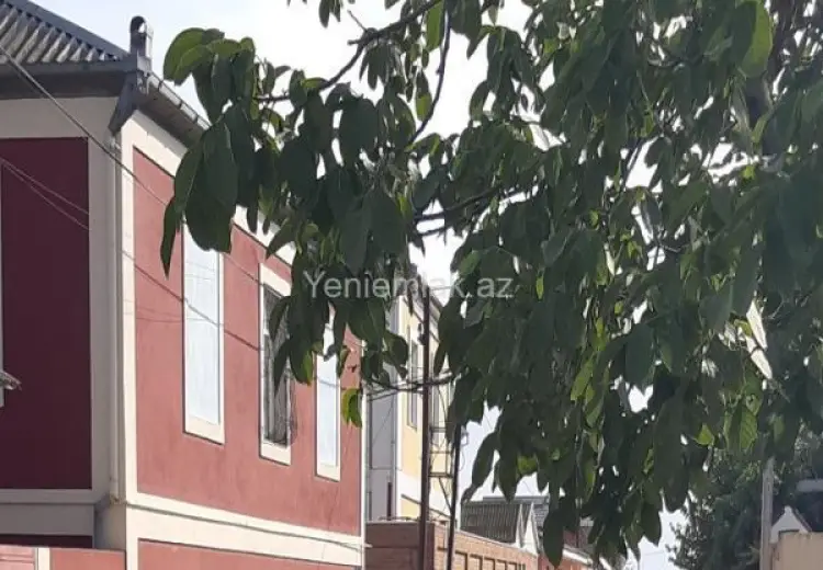 10 sot Torpaq Satılır, Saray, Abşeron