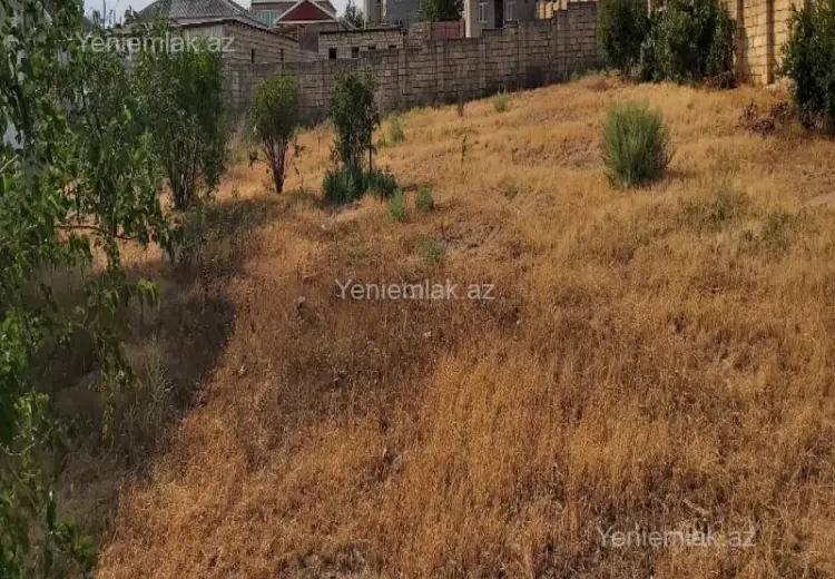 10 sot Torpaq Satılır, Saray, Abşeron