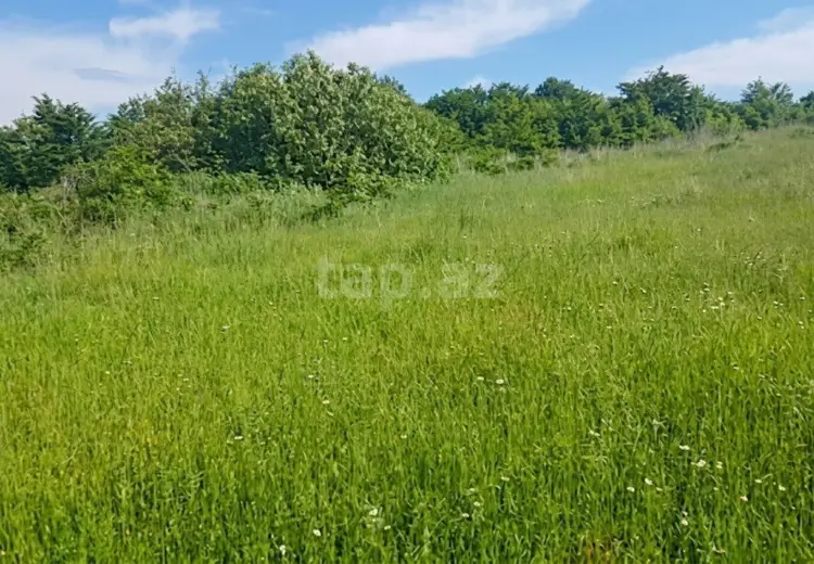 0 m² Obyekt / Ofis , Qusar