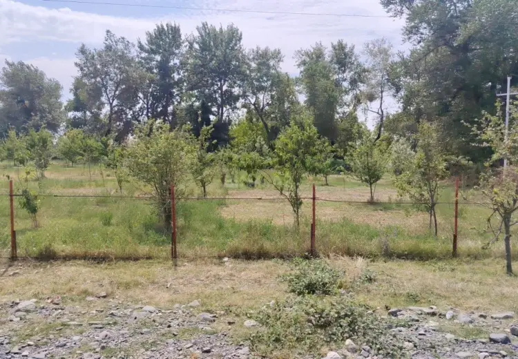 24 sot Torpaq Satılır, Qəbələ
