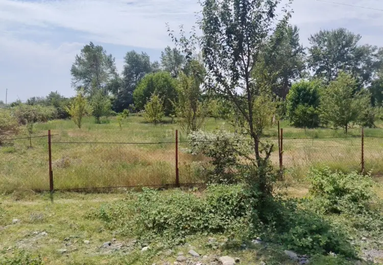 24 sot Torpaq Satılır, Qəbələ
