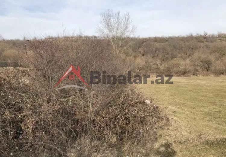 33 sot Torpaq Satılır, Quba