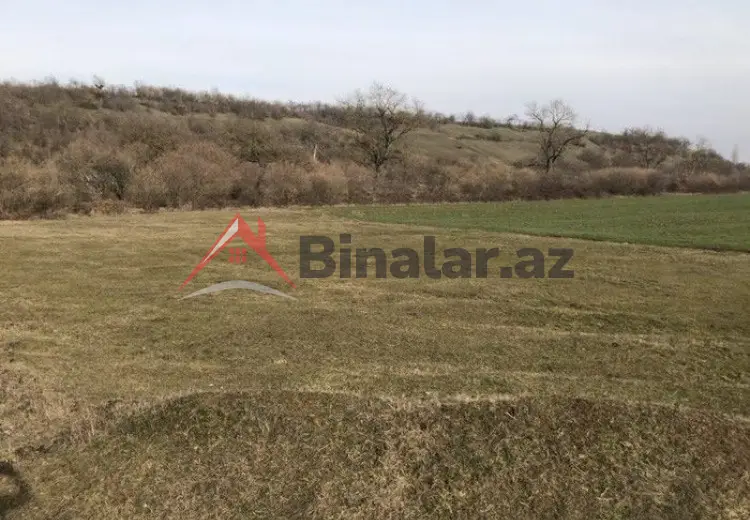 33 sot Torpaq Satılır, Quba