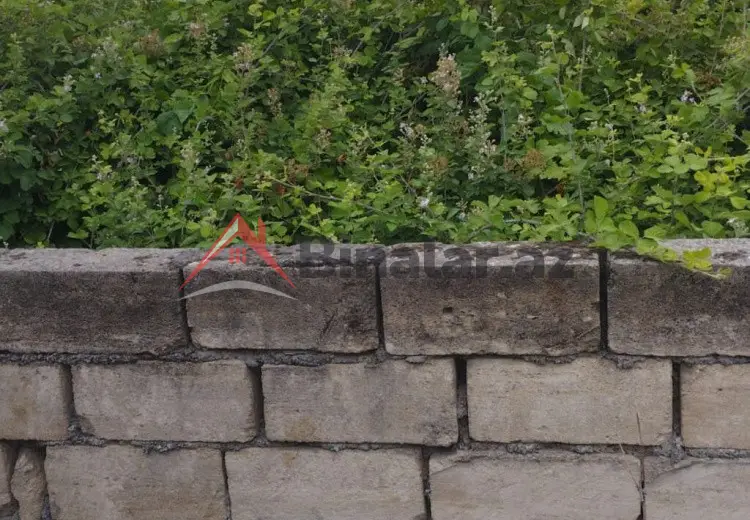 0 sot Torpaq Satılır, Qusar