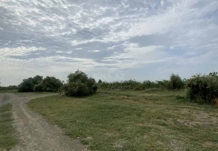 20 sot Torpaq Satılır, Mingəçevir