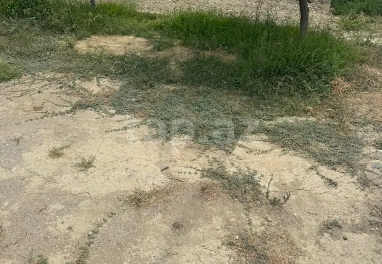 0 m² Obyekt / Ofis , Masazır, Abşeron