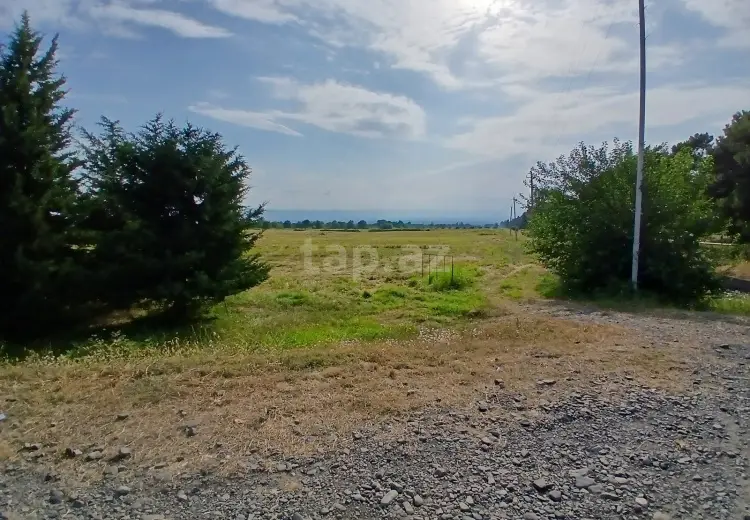 0 m² Obyekt / Ofis , Qax