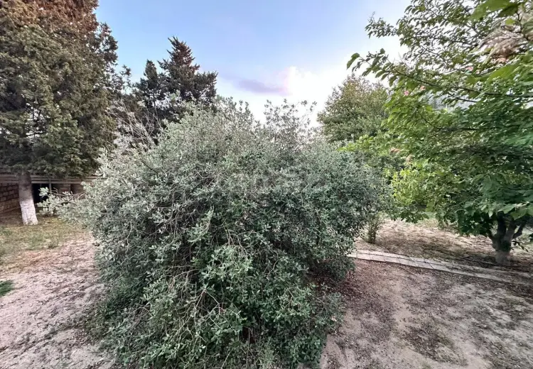 7 otaqlı mənzil , Bakı