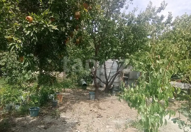 0 m² Obyekt / Ofis , Mingəçevir