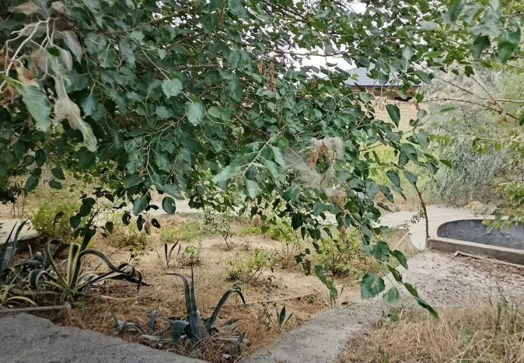 0 m² Obyekt / Ofis , Pirşağı qəs., Sabunçu, Bakı