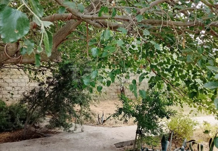0 m² Obyekt / Ofis , Pirşağı qəs., Sabunçu, Bakı