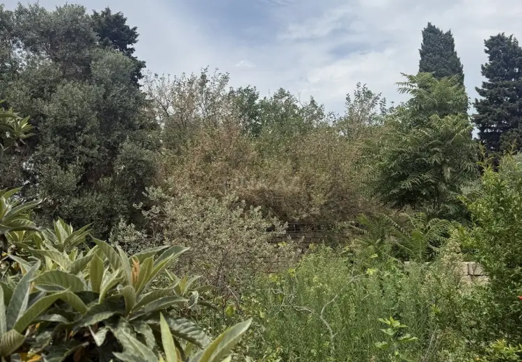600 sot Torpaq Satılır, Abşeron