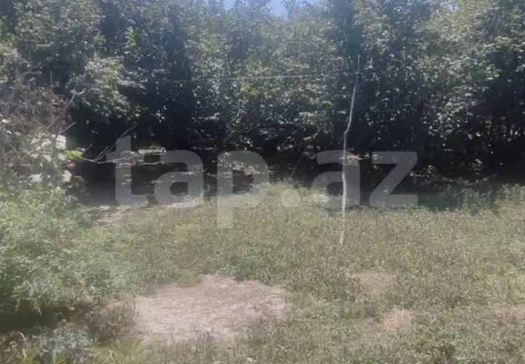 0 m² Obyekt / Ofis , İsmayıllı
