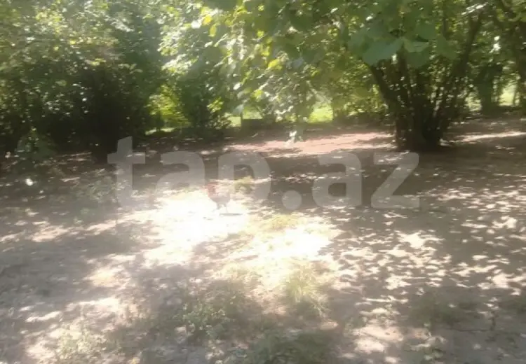 0 m² Obyekt / Ofis , İsmayıllı