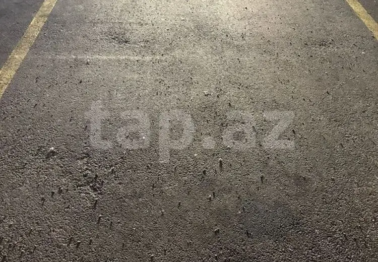 0 m² Obyekt / Ofis , Bakı